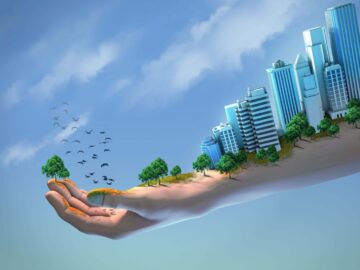 Creating safe urban spaces for migrating birds.