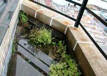 How to Fix a Roof Leak