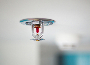 Fire Sprinkler