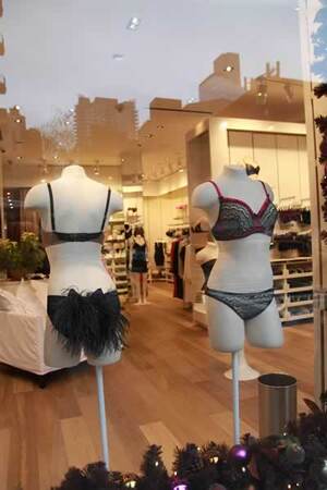 Journelle window display