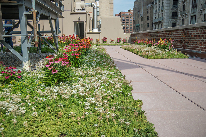 Rutgers Presbyterian Church