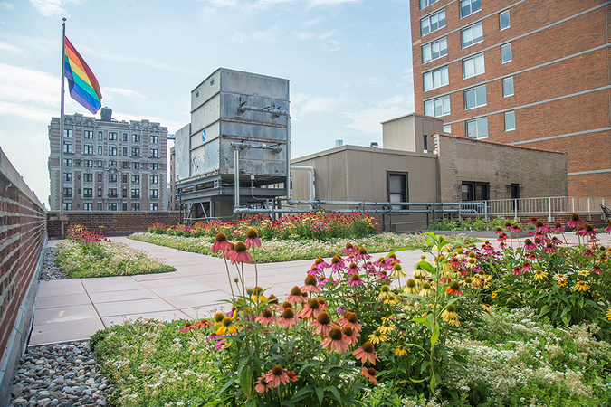 Rutgers Presbyterian Church green roof