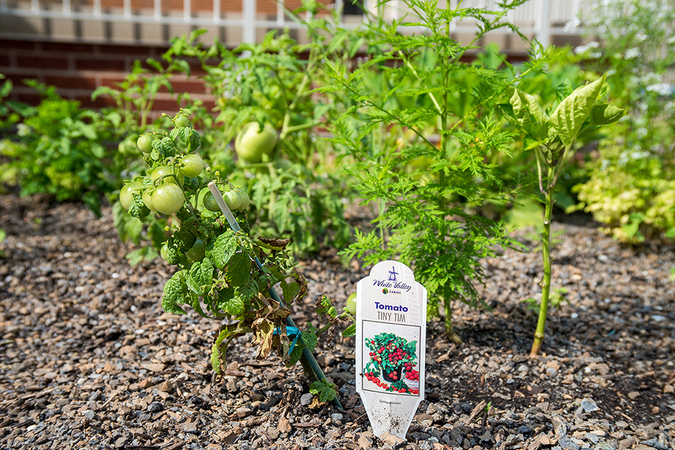 Rutgers Presbyterian Church