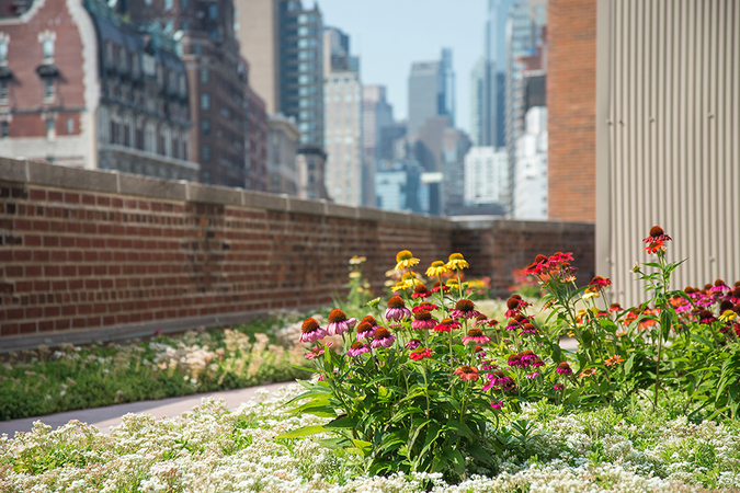 Rutgers Presbyterian Church